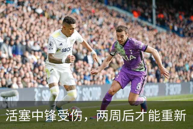 活塞中锋受伤，两周后才能重新“登场”，替补将成明星？